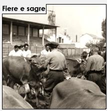 Fiere e sagre