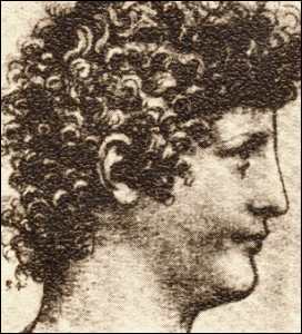 Il Salaino Il Salaino